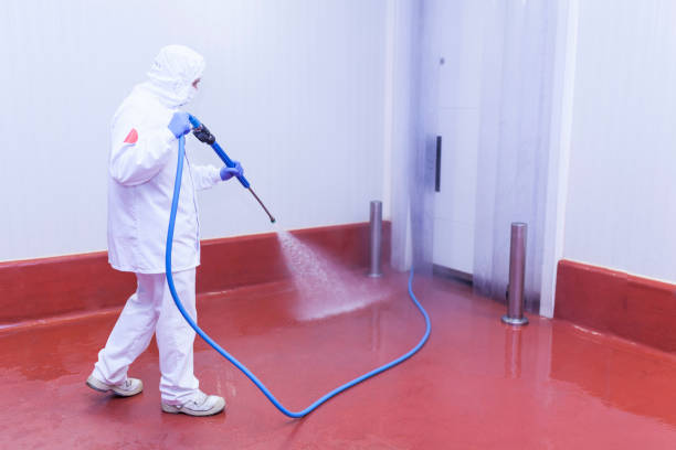 Best Solar Panel Cleaning  in Springfield, NJ