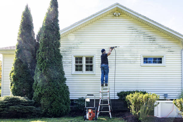 Best Patio and Deck Pressure Washing  in Springfield, NJ