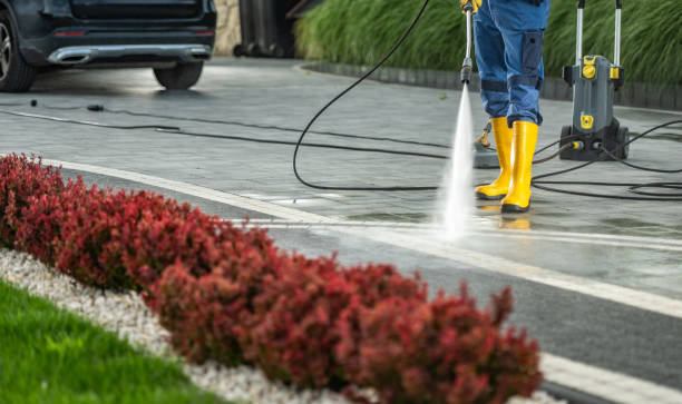 Reliable Springfield, NJ Pressure Washing Services Solutions